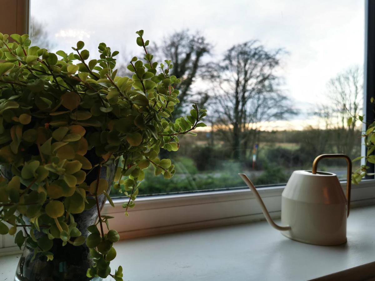 Redbrook Farm Bnb - Gateway To The New Forest Fordingbridge Exterior foto