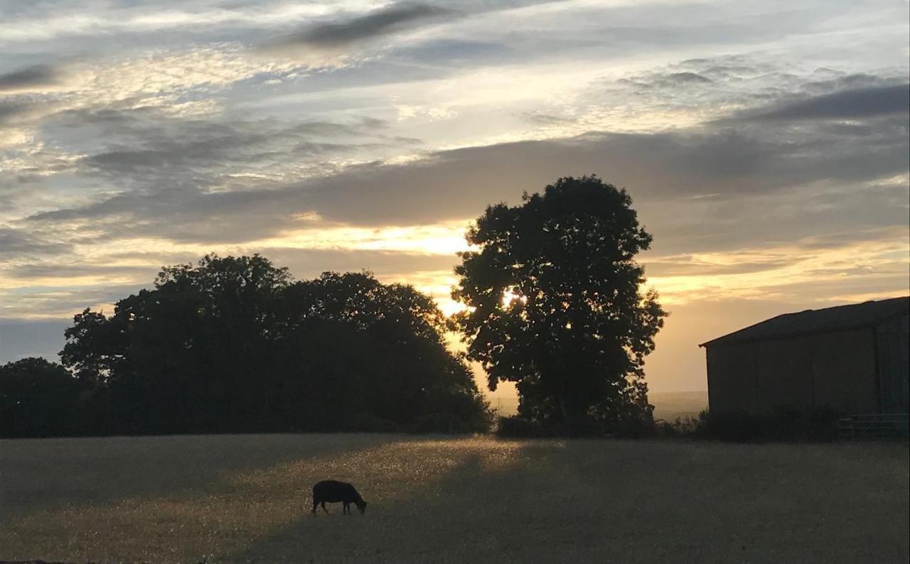 Redbrook Farm Bnb - Gateway To The New Forest Fordingbridge Exterior foto